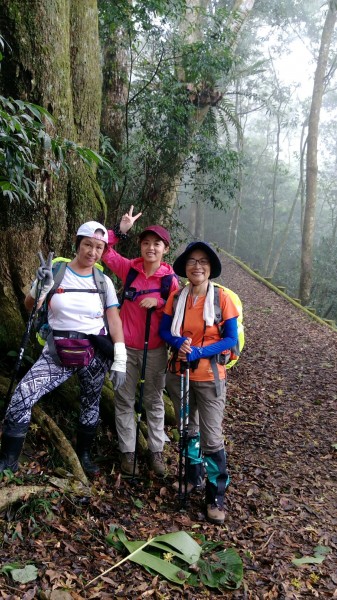 2017/10/17 馬那邦泰雅尋幽244859