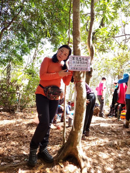 112/2/11芝生毛台山、屯野生炮台2148103