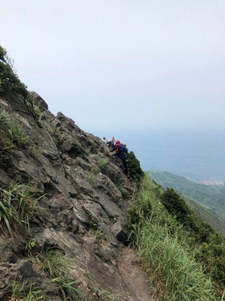 20190526劍龍、鋸齒、無耳茶壺山593144