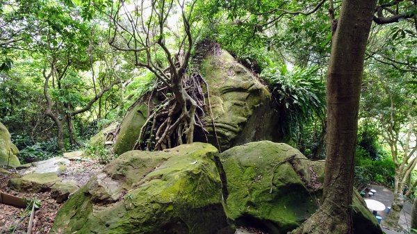 獅山環型步道2224676