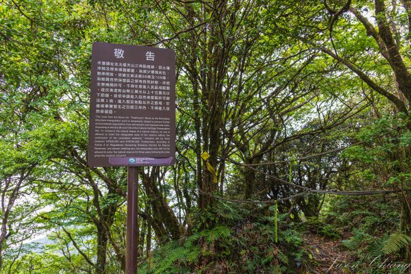[桃園]北插天山磨練之旅2532920