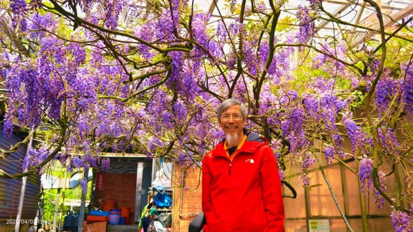 追花是簡單的快樂，賞花是恬淡的幸褔 4/32751449