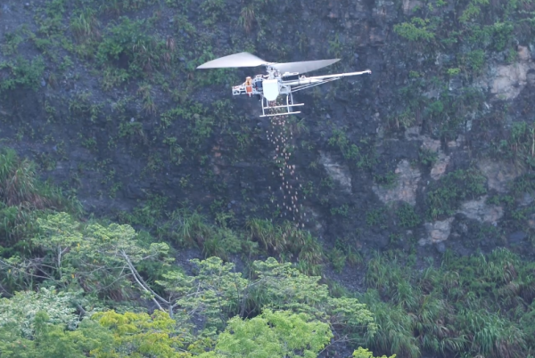 利用無人機空投種樹 守護山林「創新」機