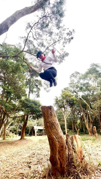 20260127三通嶺山.三義山(大桁茂山).慈濟山.大坪山大O走2990013
