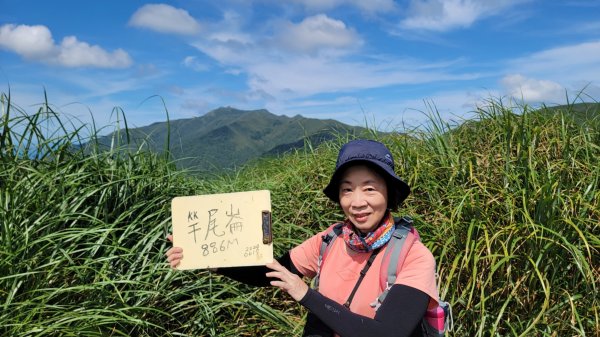 大屯溪古道清涼行-202407142601031