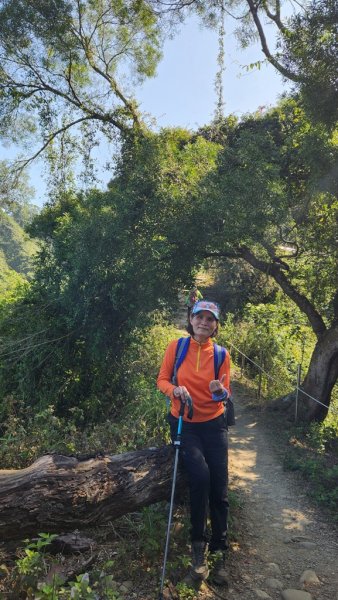 【田中】田中森林步道連走麒麟山2722585