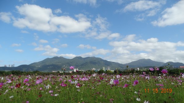 大屯&小觀音主/西&關渡花田補考735927