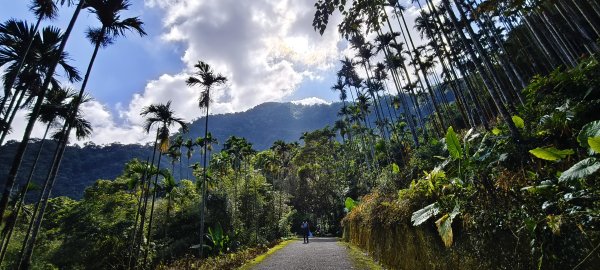 2025/08/30_華山山豬湖步道2876429