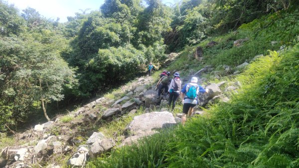 谷關黑白縱走2025年6月8日2808665