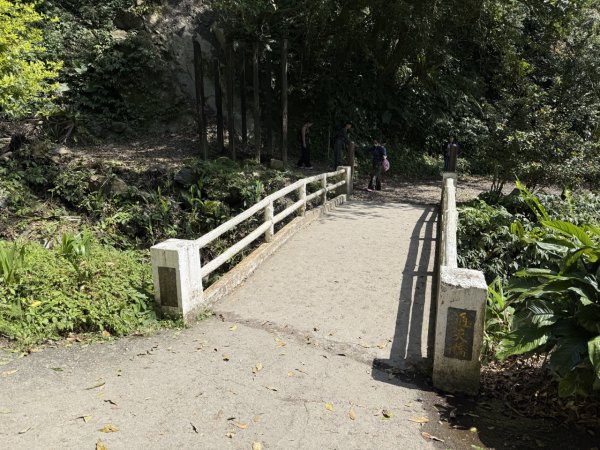 2025/03/21 聖母山莊 抹茶山 三角崙山2935090