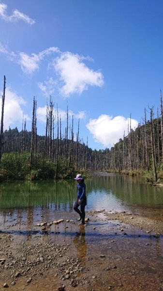 水漾森林、鹿屈山O走2461716