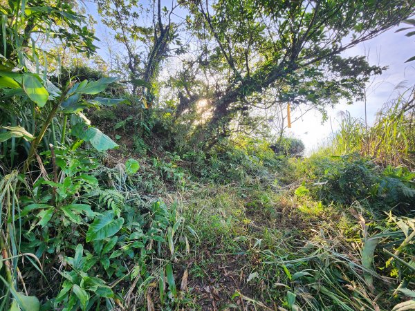 20241201侯硐復興煤礦三貂嶺山大小粗坑O型2681277