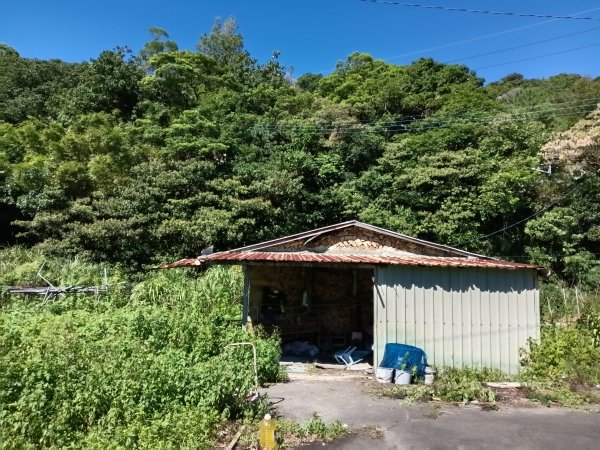 汐止區白雲古道+白雲寺O型2911982