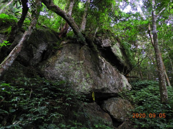 新竹 五峰 油羅山1088961