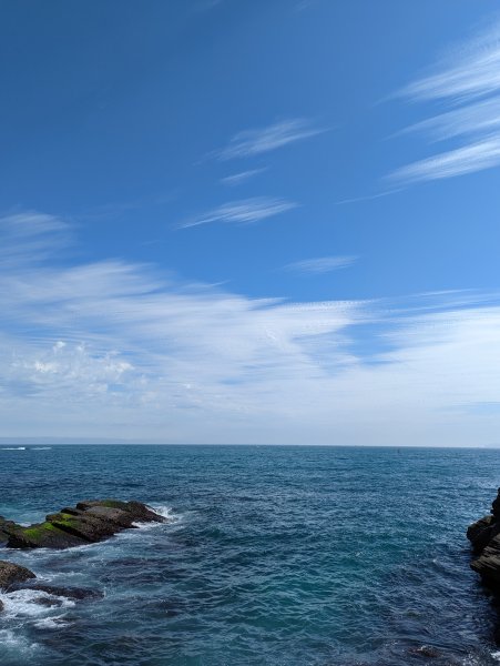 2023-02-11 八斗子潮境公園、環保復育公園步道2792553