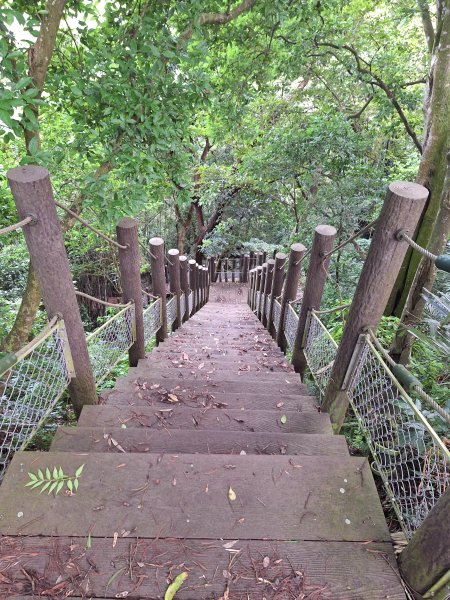 泰安登山步道+七塊山O型走202409252607304