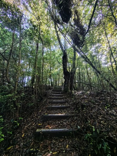 稍來小雪山國家步道、船型山、鞍馬山、鞍馬山東北峰、天池、雪山神木2799815