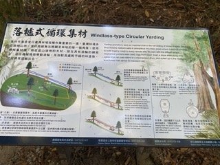 1120710觀霧國家森林風景區2938297