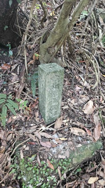 20251015木尾山-竹子湖水尾山-竹子湖西峰(騎車爬山)2915982