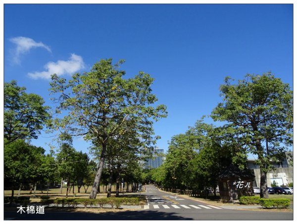 東海大學/校園步道746107