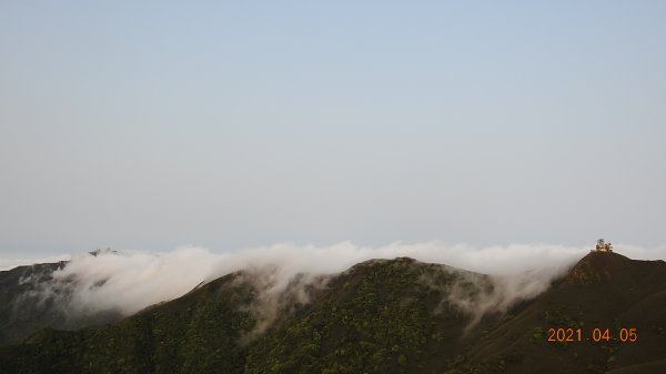 0405陽明山再見雲瀑，今年以來最滿意的一次1335451
