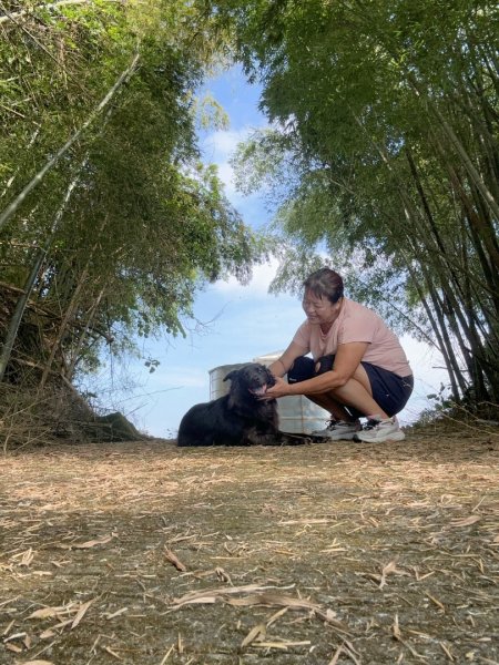 後棟仔山、挑筍古道、大尖山2920255