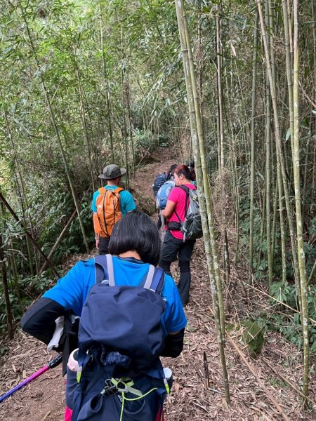 馬那邦山（珠湖登山口）2933990