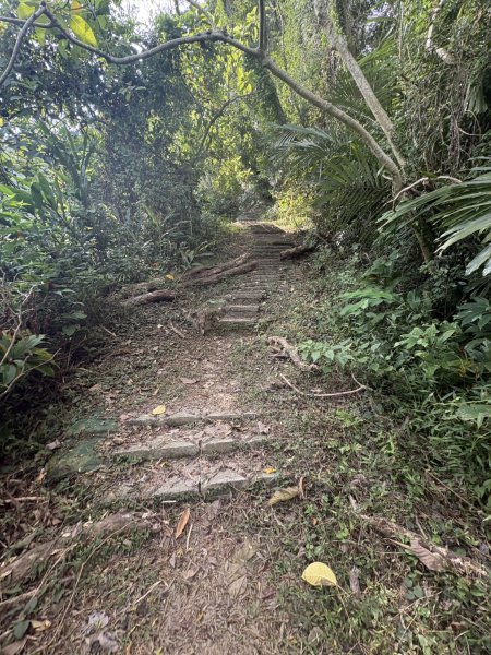 20251101烏山縱走北段 雲山寺至刣牛湖山(途經風空子山.孟璋山.烏山.刣牛湖山北峰)2928757