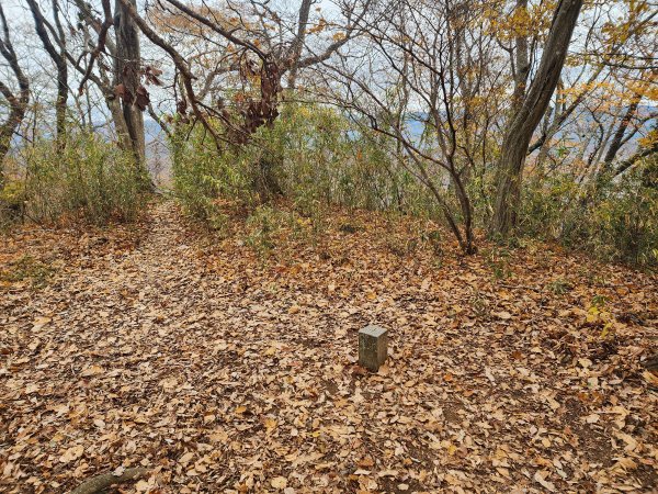 20251125登月居山遊袋田瀑布順遊舊上岡小學校2958374