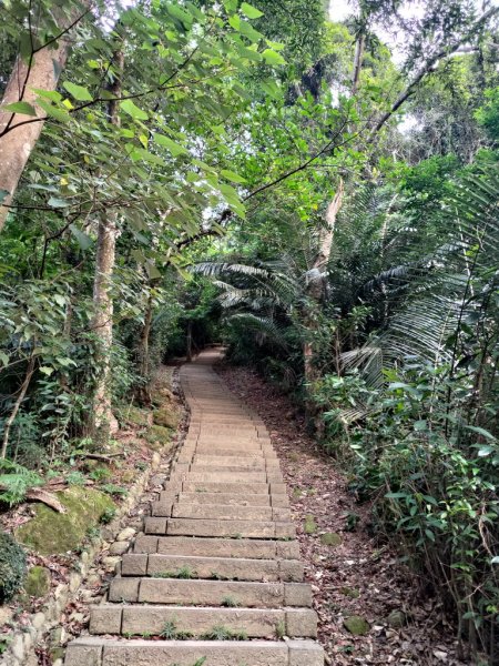 【新竹縣峨嵋鄉】藤坪步道2833232