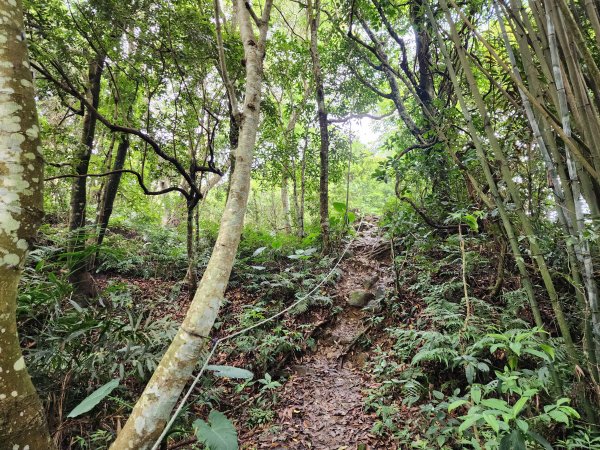 小百岳No.44⛰暗影山2405245