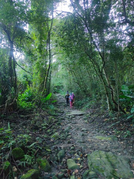 關仔嶺大凍山(夏季不要早上6點來、您會愛上這座山)2552182