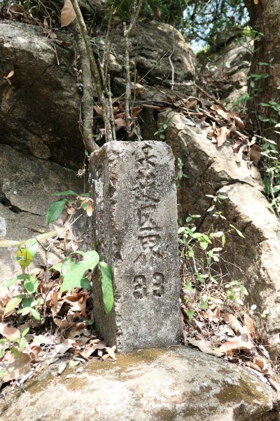 190429-小攀南化王爺崙山-龍鱗奇岩1834438
