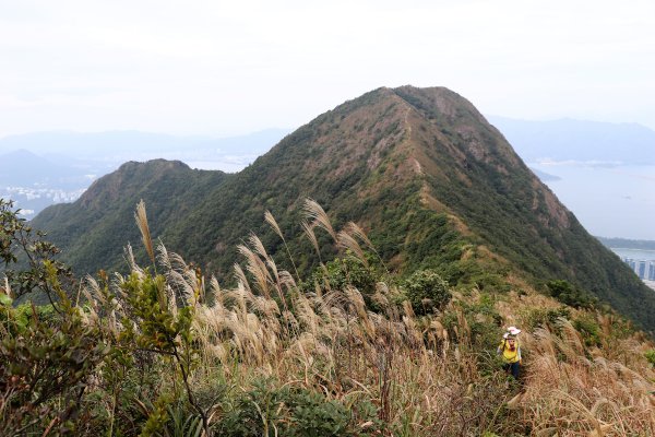 HK - 馬鞍山 (三角石河)1270472