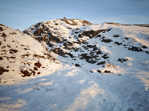 [紐約馬之行-37] 2025_1106 世界遺產木棧道-下2948192