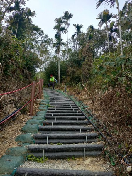 嘉義［阿拔泉山稜線步道］+太平雲梯2235729