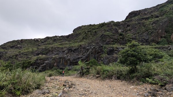 115.05.31燦光寮古道-草山-不厭亭之旅3067256