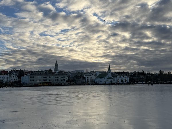 [紐約馬之行-21] 2025_1104 托寧湖(Tjörnin)2946350