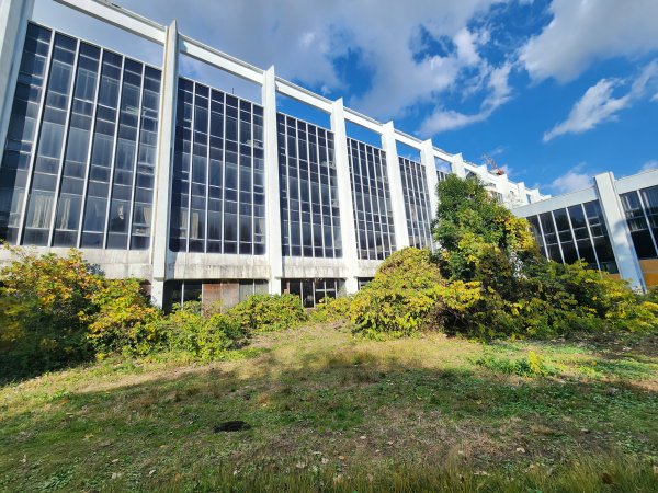 20251128橫須賀軍港遊船+鎌倉大佛步道2962738