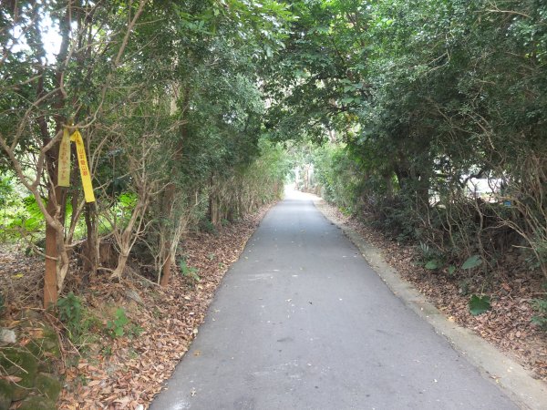 2018.11.17紅毛埤山之旅1221619