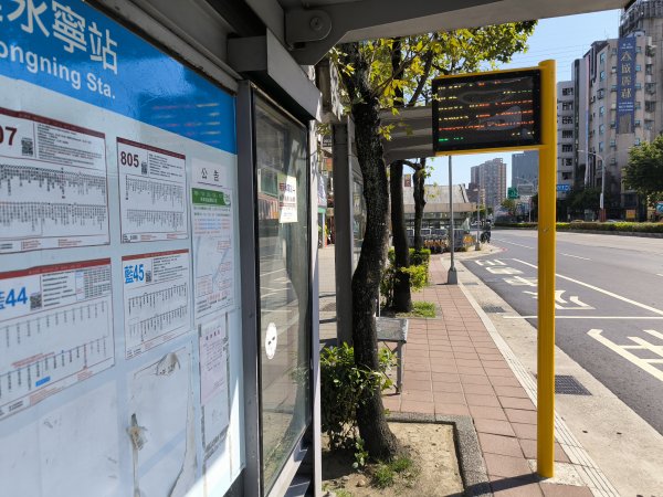 20250913微笑山線：【天上山系】望月亭桐花段2883460