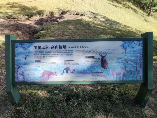 1141116麟趾山3098296