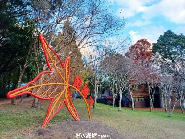 【南投仁愛】光影下的森林療育。 奧萬大國家森林遊樂區步道群2973072