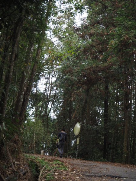 南投魚池貓囒山步道20200216838326
