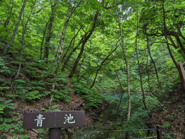 2023-06-14 十二湖（日本）2793205