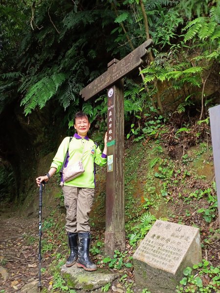 【白金縱走】內湖白鷺鷥山→汐止金龍湖（2-1 內湖區大湖公園→北天宮竹夢園）1701561