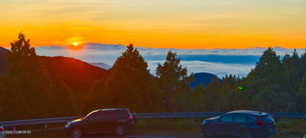 #太平山 #望洋山 #觀雲步道 #日出 #雲海 11/8
