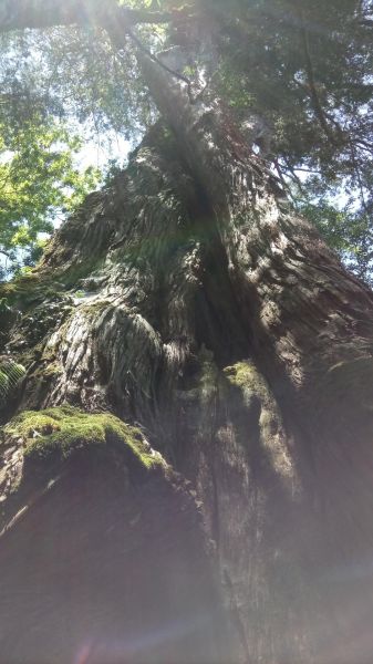 米羅山←→南山神木←→佐得寒山折返340909