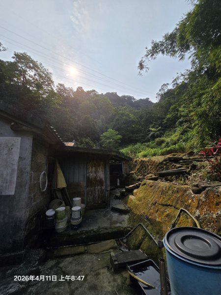 2026-04-11微笑山線：【二格山系】筆架連峰段3034555