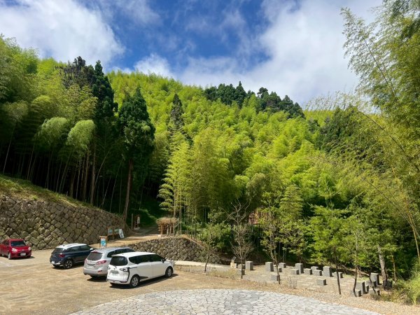 嵐山再古坑。五元兩角 木馬古道2806135